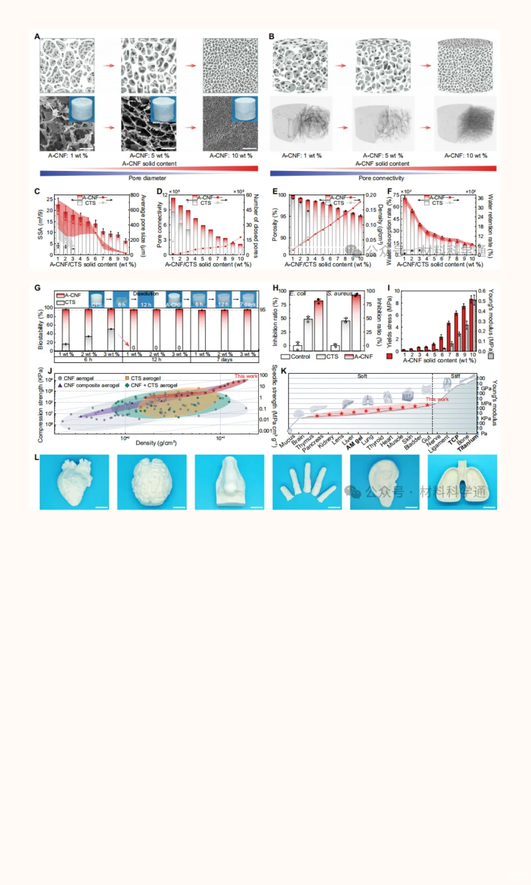 中国科学家用“木头”造出超级生物材料，性
