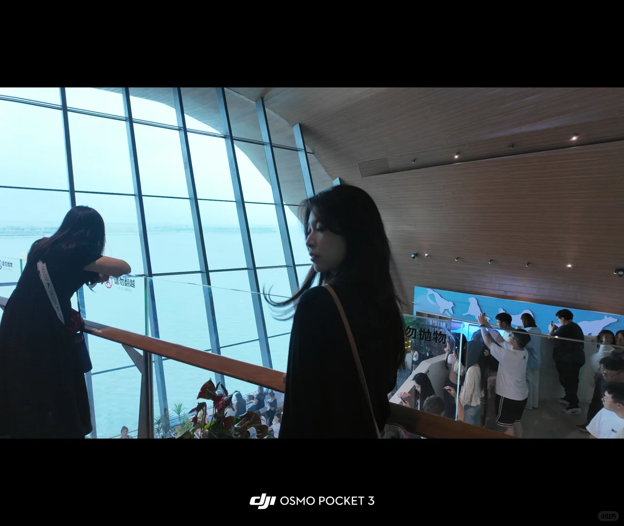 佳能R50人像VS大疆pocket3人像