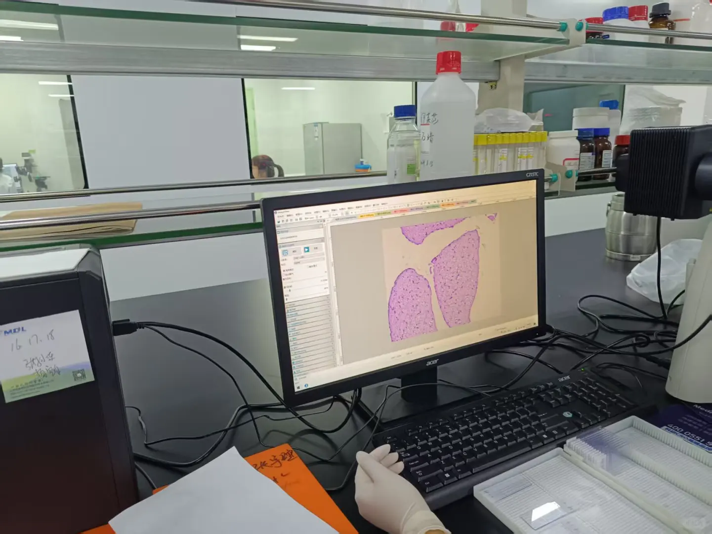 救命～实验外包真救命!