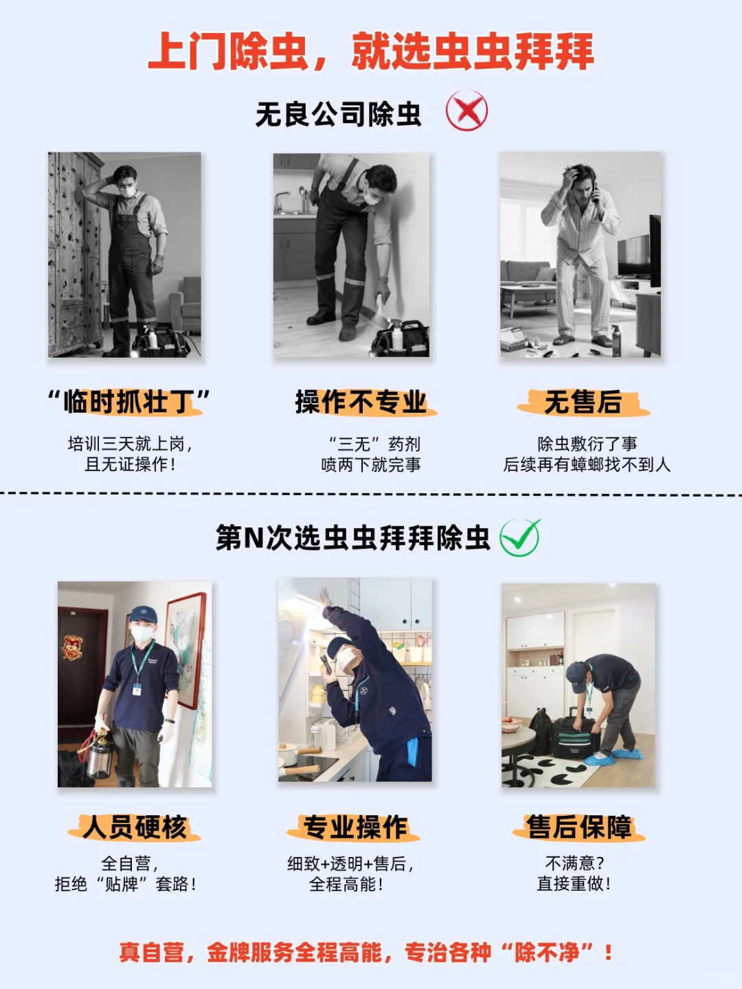 虫虫拜拜：真正的除虫界 “六边形战士”！