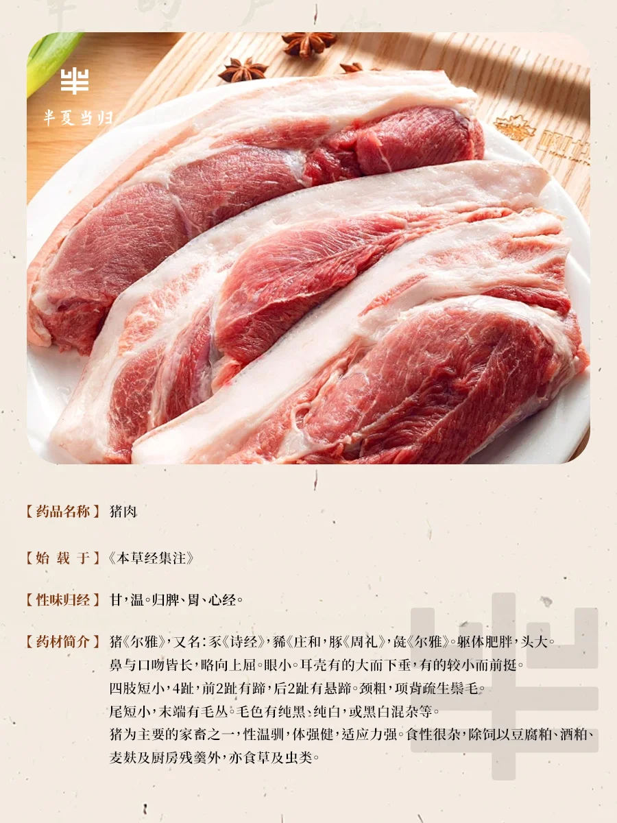 ?寻找厨房里的中药--猪肉