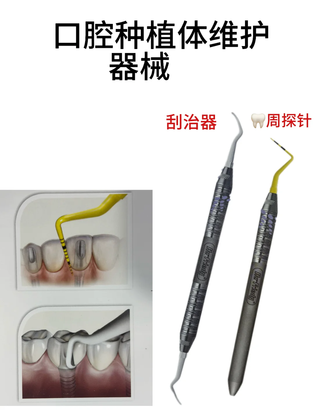 口腔小护士必备