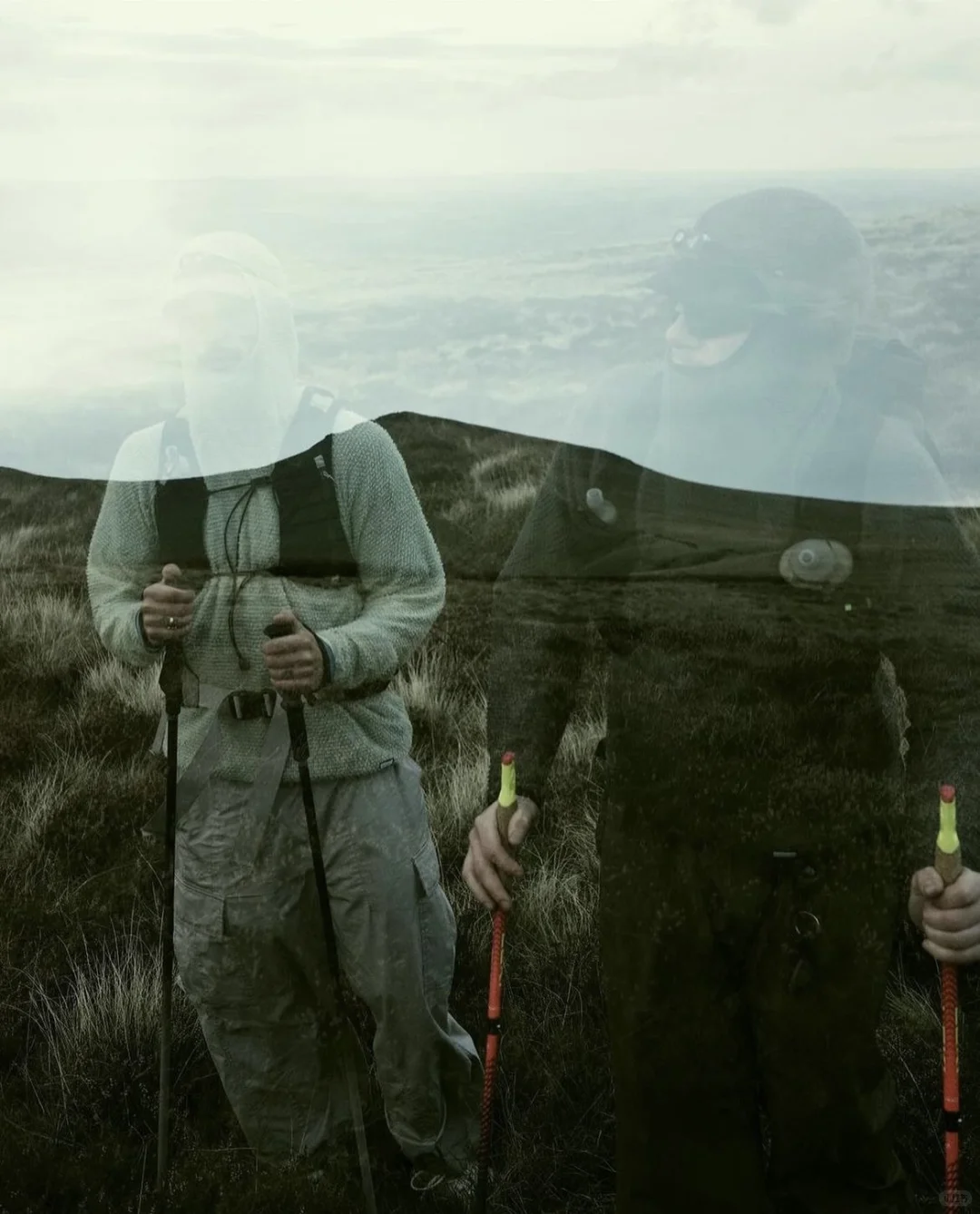 来自 Senchi Designs 的自然见解?