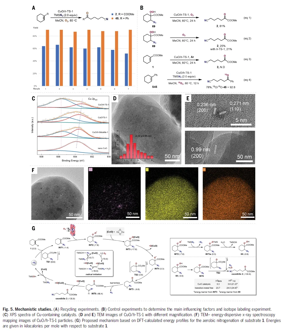 精准剪裁C=C键：天然分子秒变药物合成前体