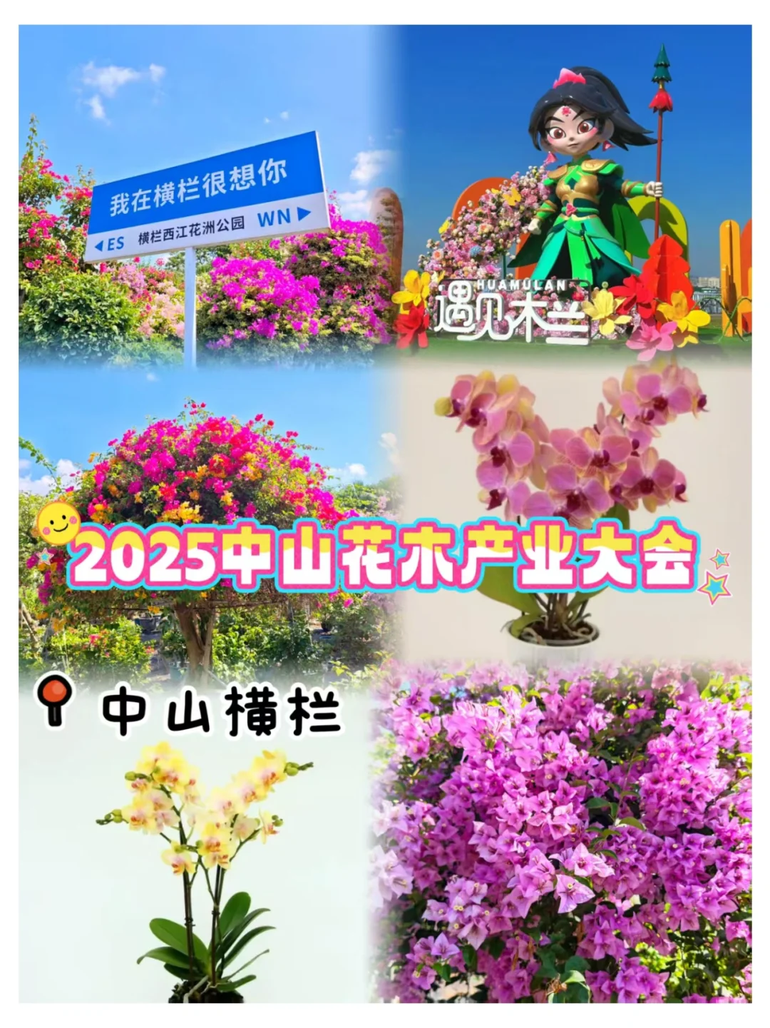 2025年中山花木产业大会即将开幕~