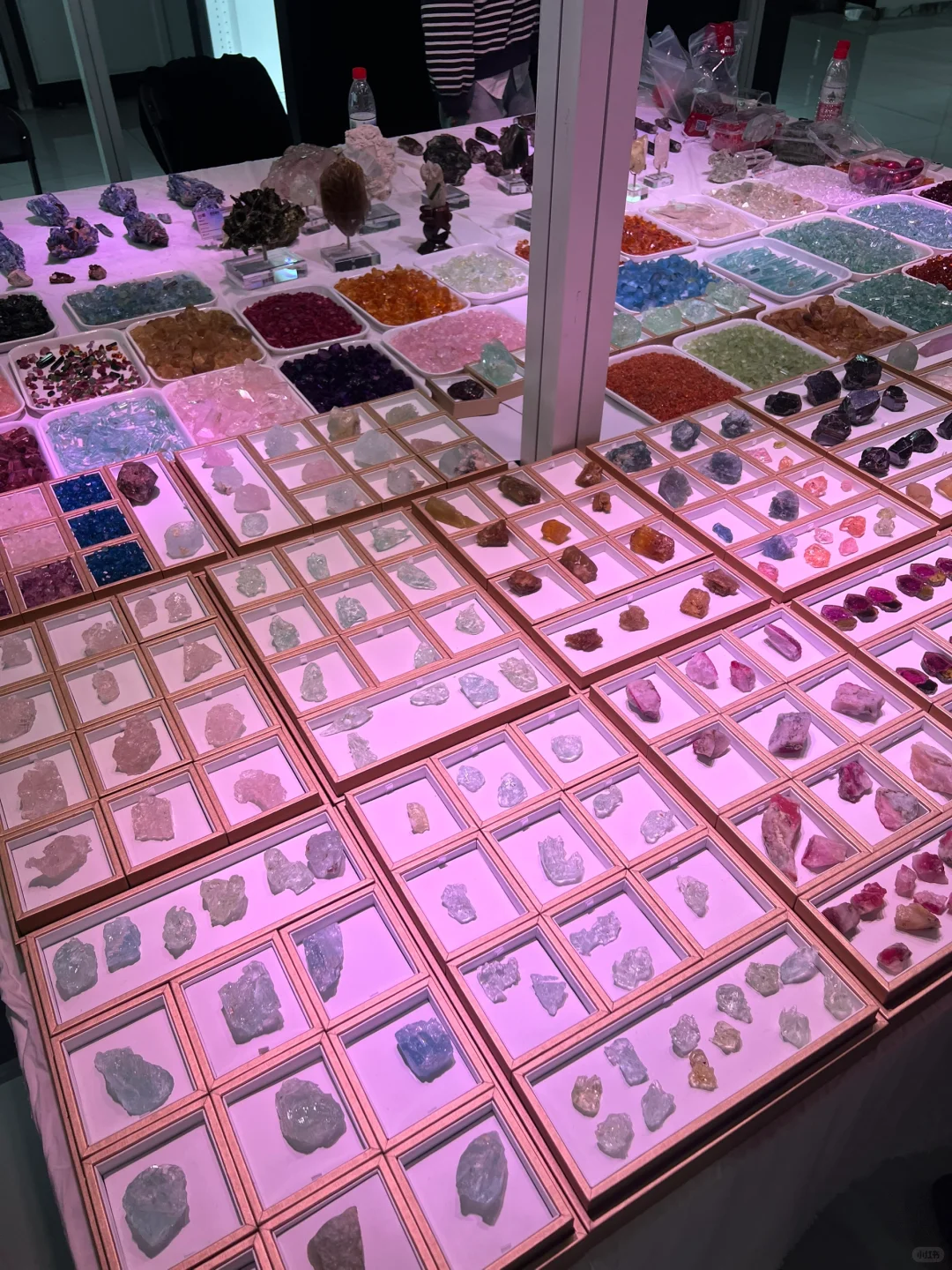 东海国际矿展会