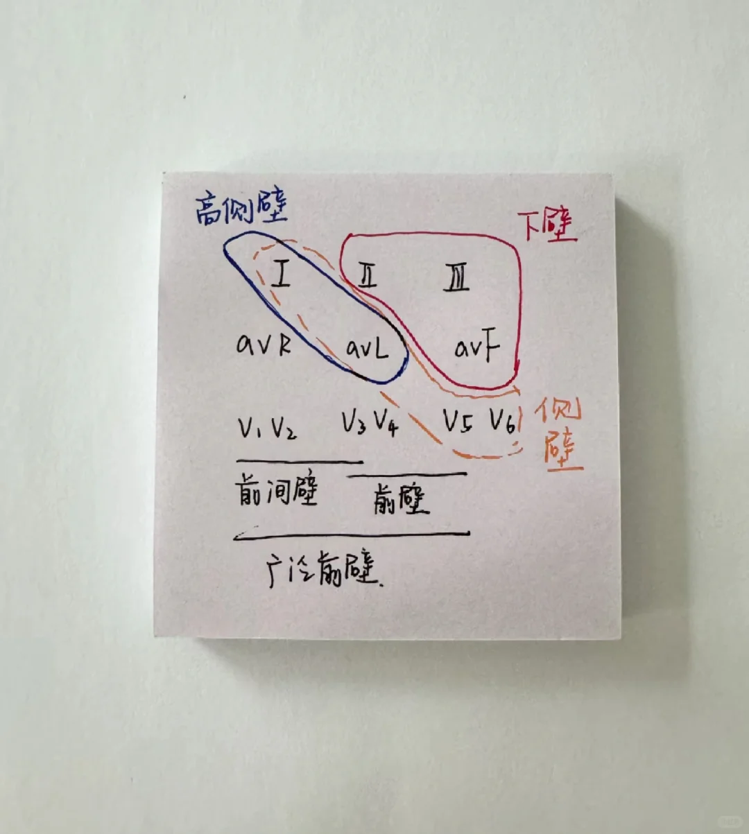 每天都在背的小方块便签