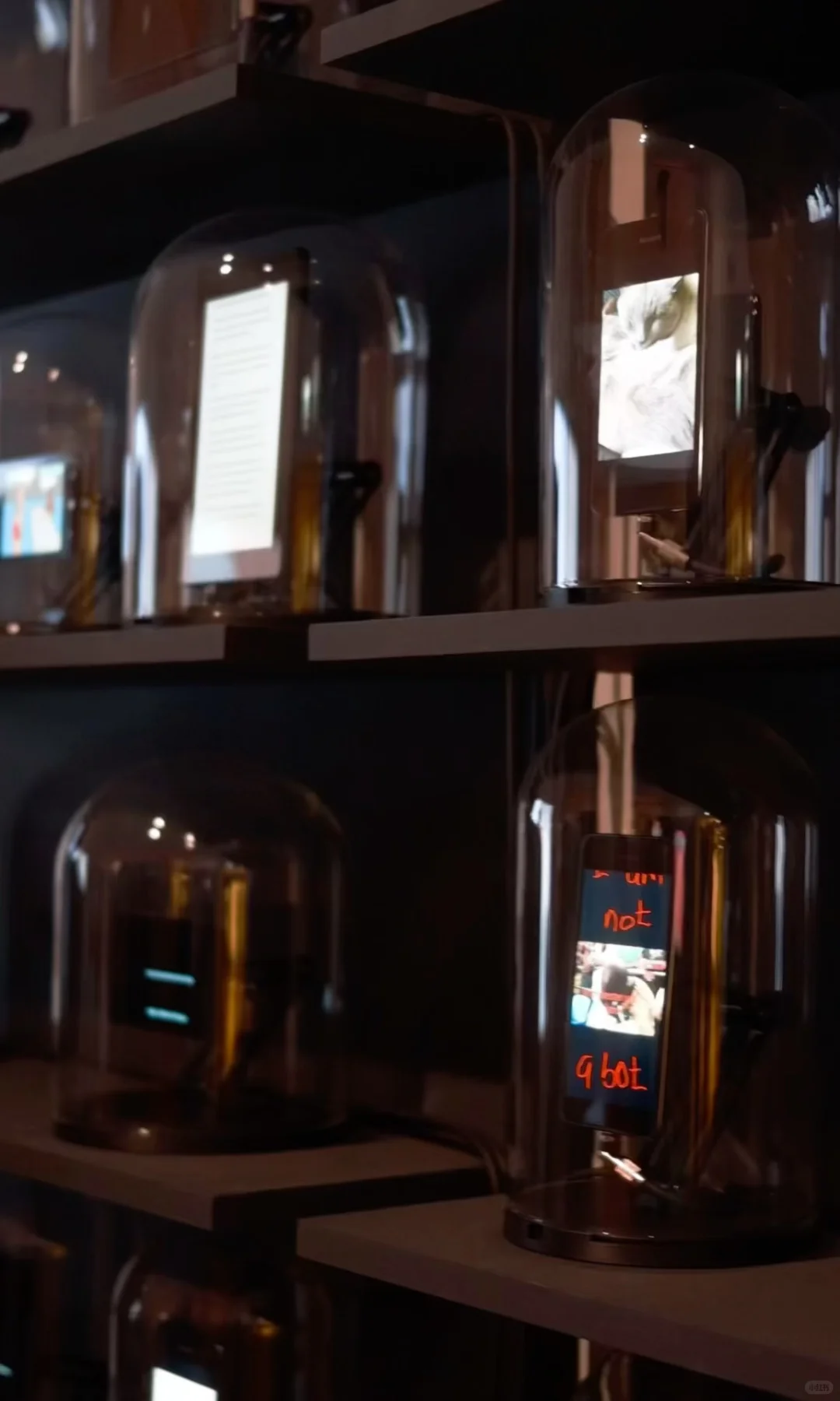 PLOG|周末,在循环中工作,也在循环中醒来