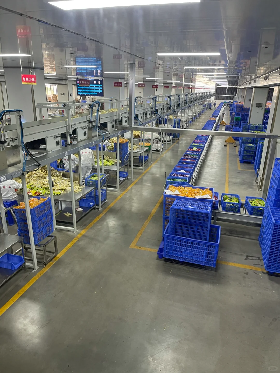 带大家参观——柳州螺霸王螺蛳粉生产线（二）