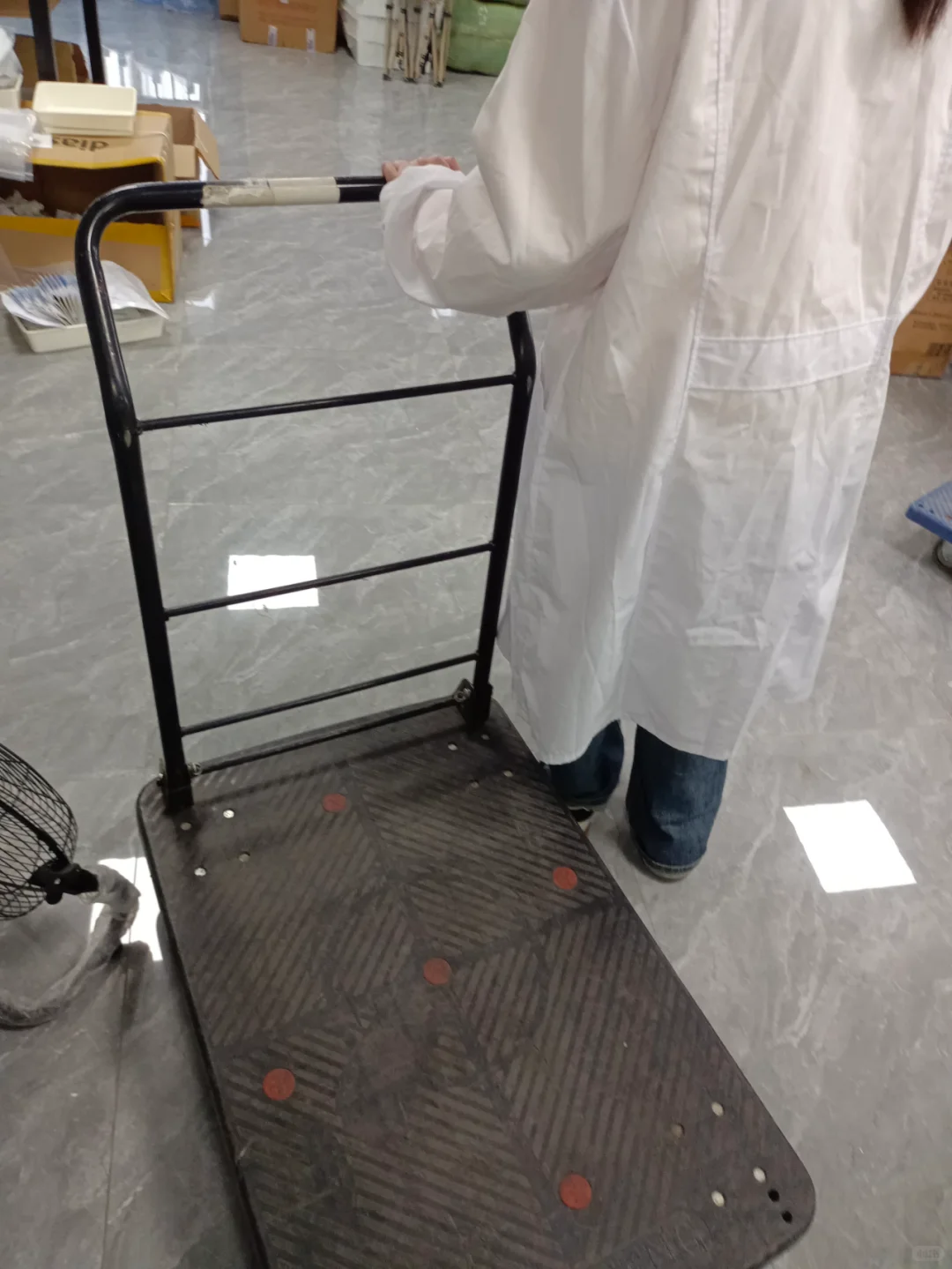 师妹说研究生的活是个人都能干