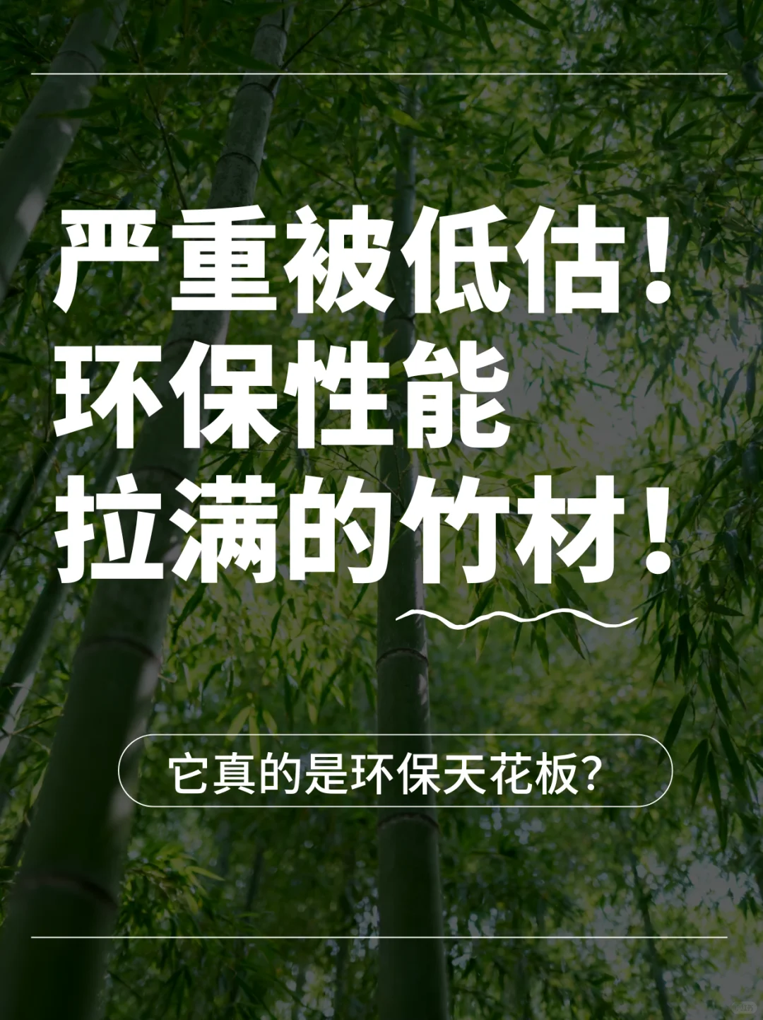 平平无奇的竹子凭什么成为环保天花板？