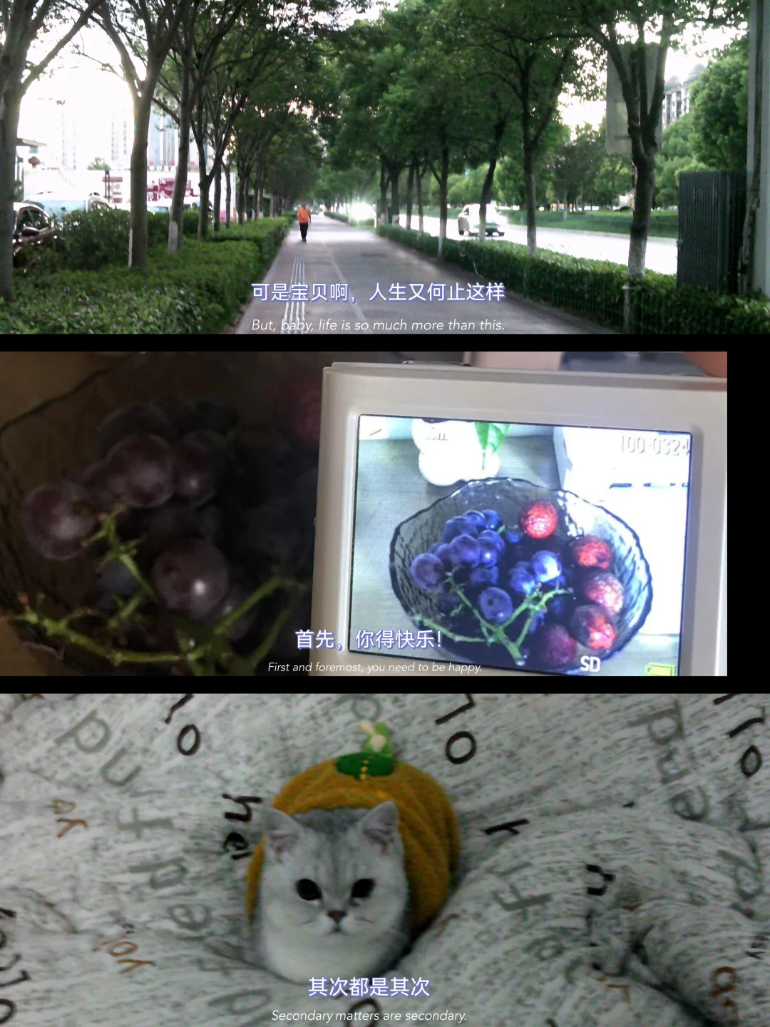 当我买ccd买成了行车记录仪这回事儿?