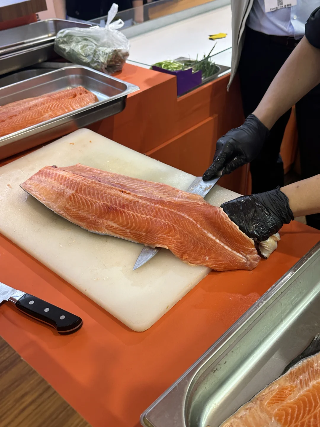 ?青岛渔博会开幕啦！快来找鱼鱼玩！