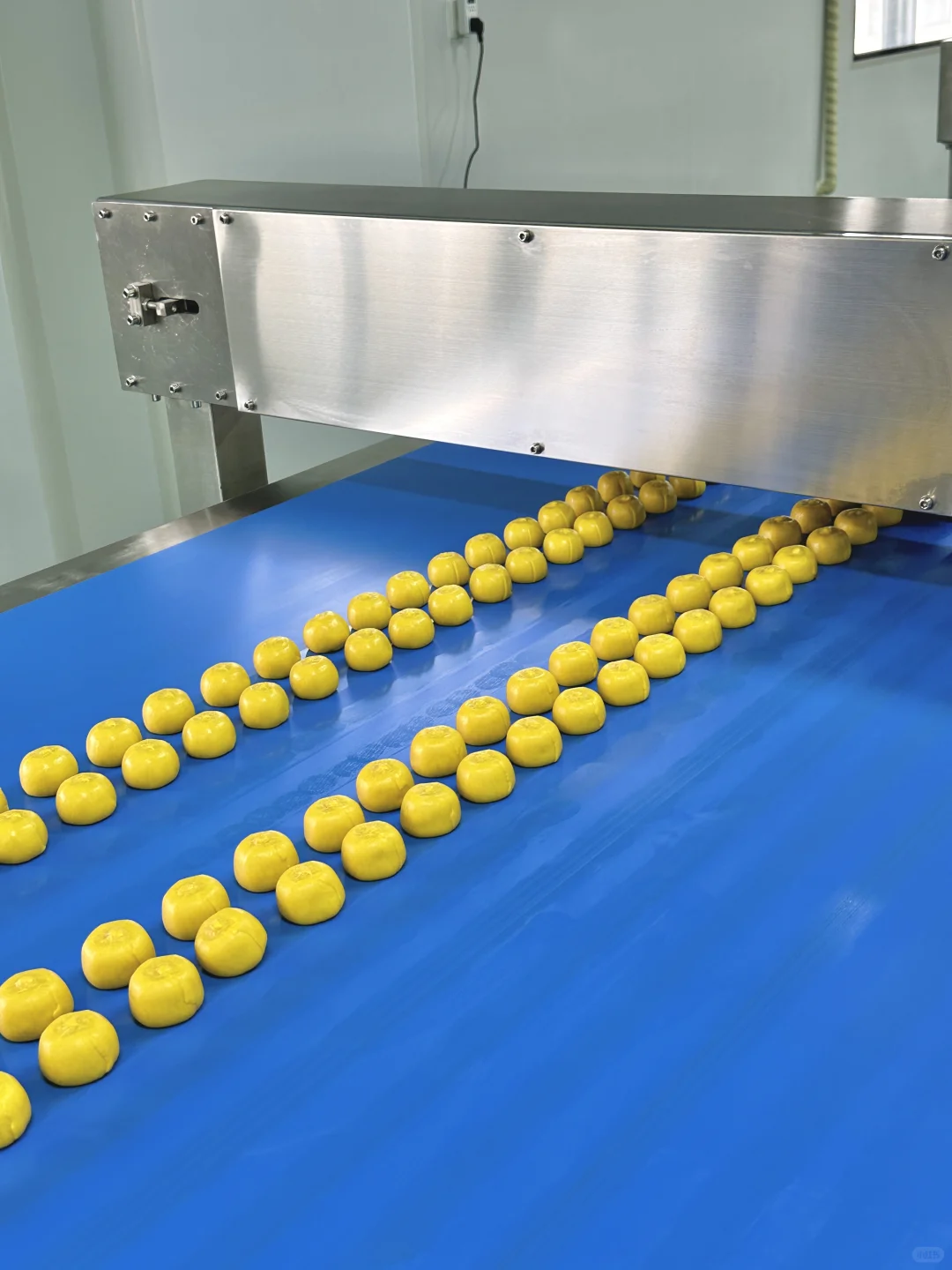 想在盒马这个烘焙工厂待一天！好治愈啊