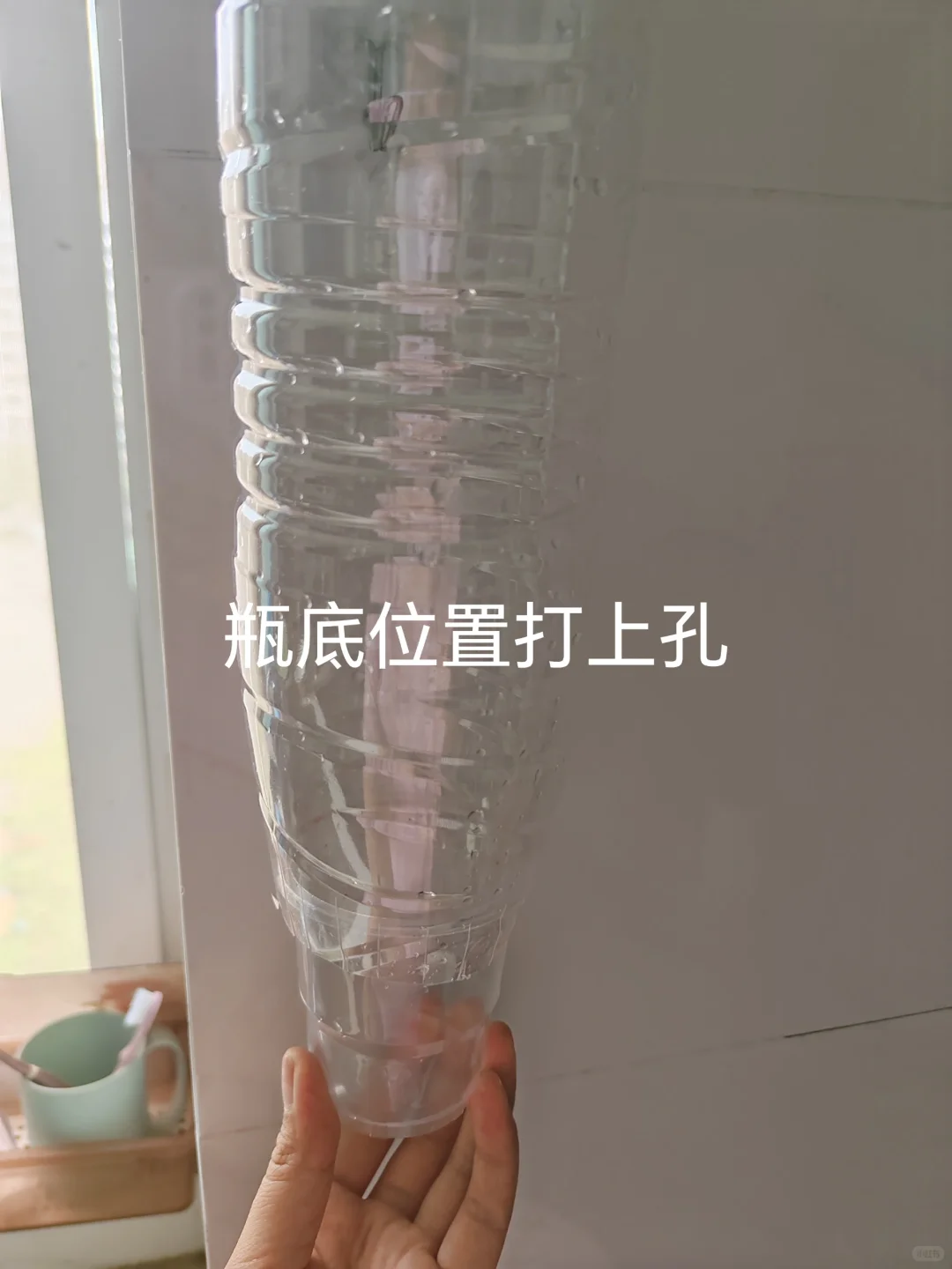 #阿里公益-世界环境日-“旧”要发光！#