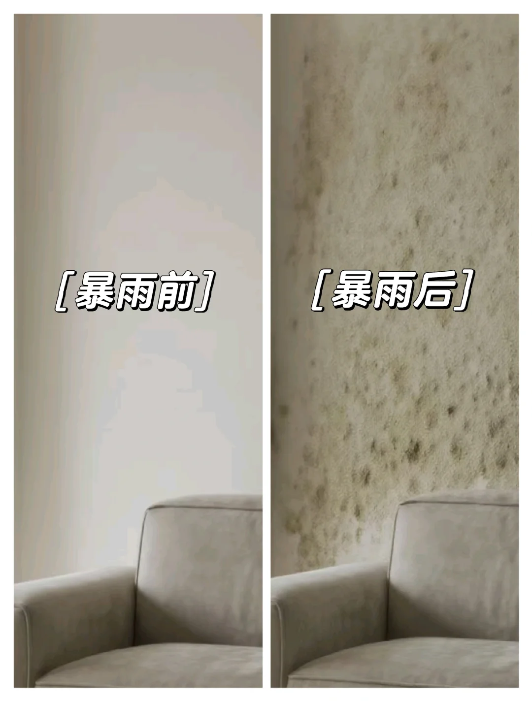 连续降雨暴击？刷这层漆，墙面从此不发霉！