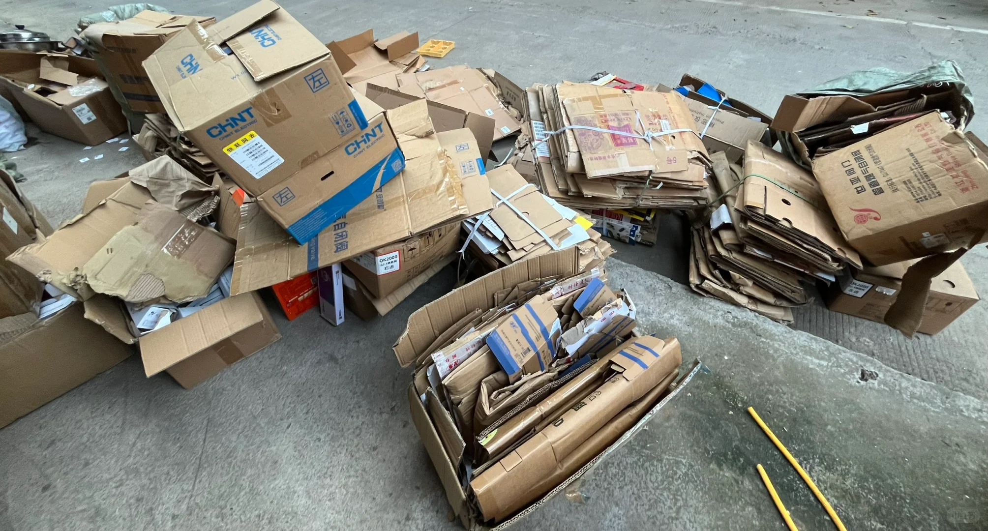 家人们你们觉得能卖多少金币？?