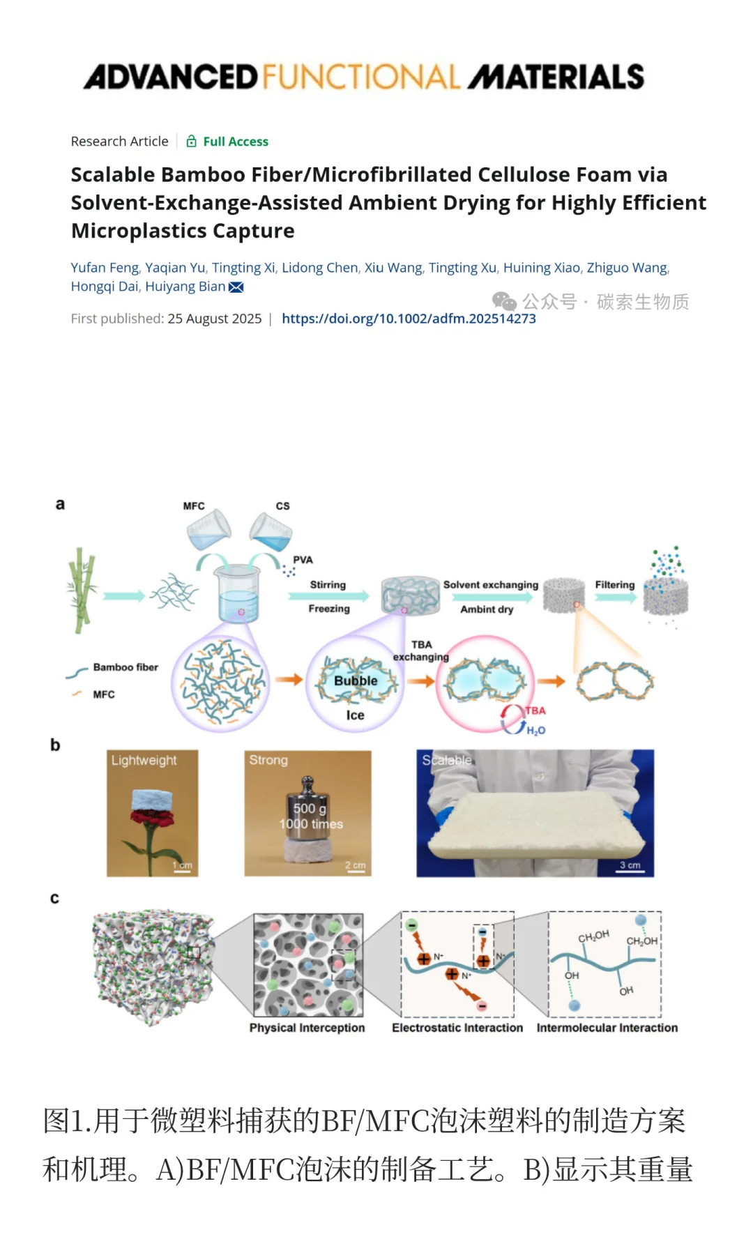 【AFM】南京林业大学—溶剂交换辅助常温干