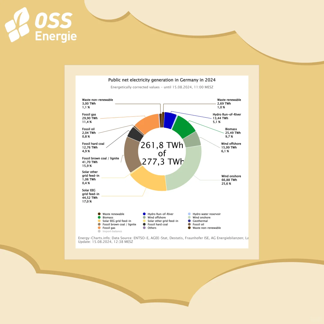 ?德国2024年再创可再生能源新纪录!??