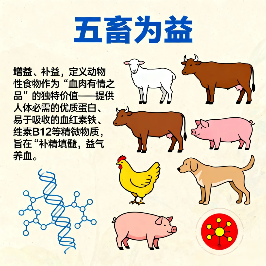 现代营养学视角下的“五畜为益”