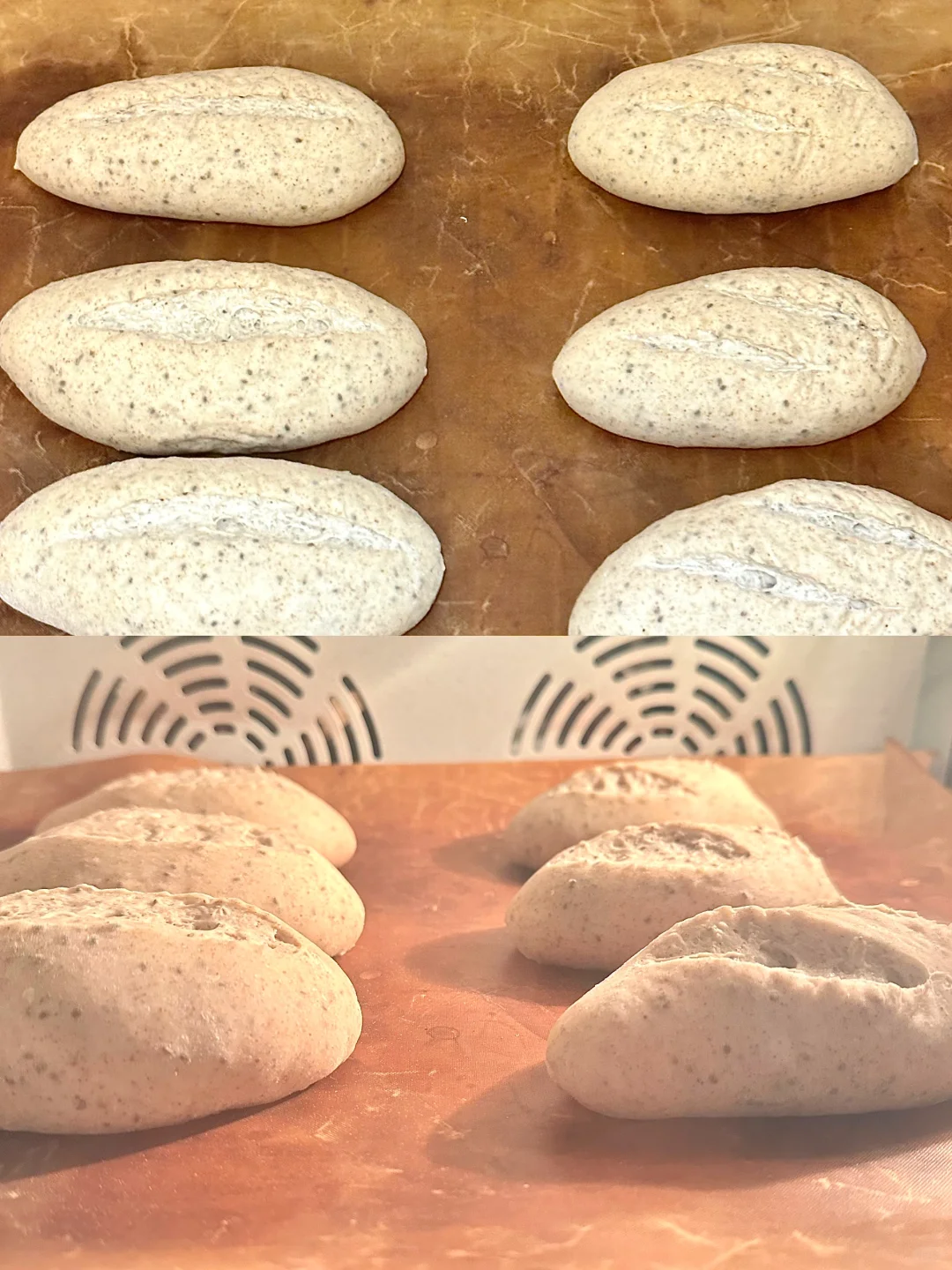 无糖无油奇亚籽黑麦小短棍?