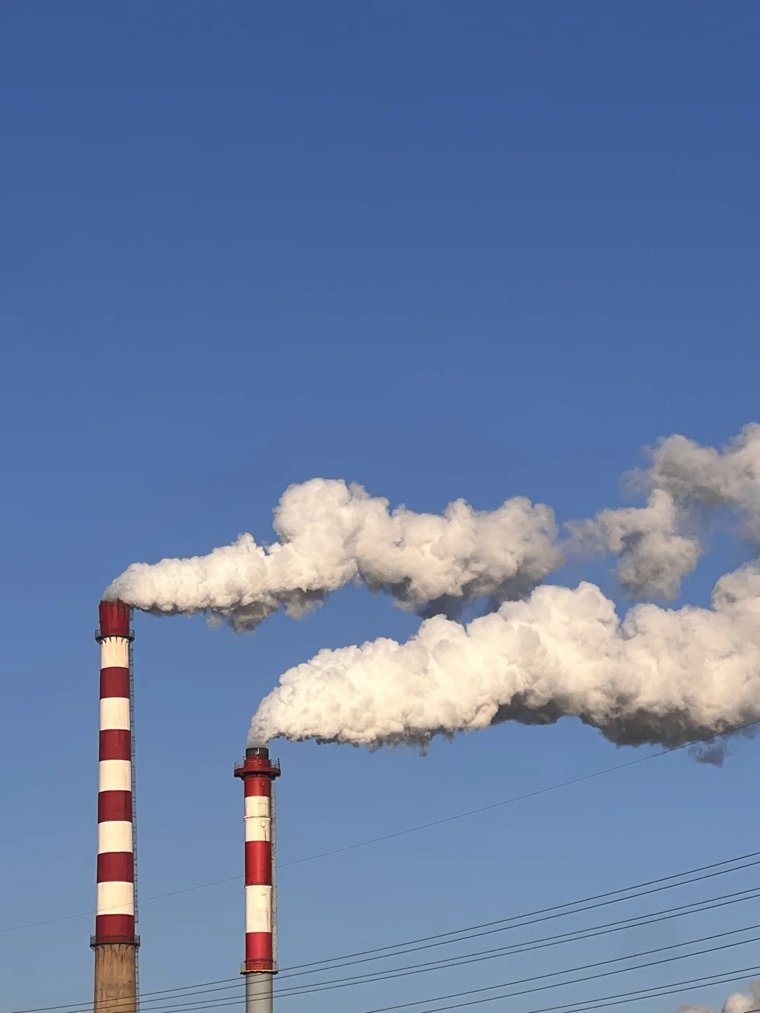 小红书年度运营大会-大连站