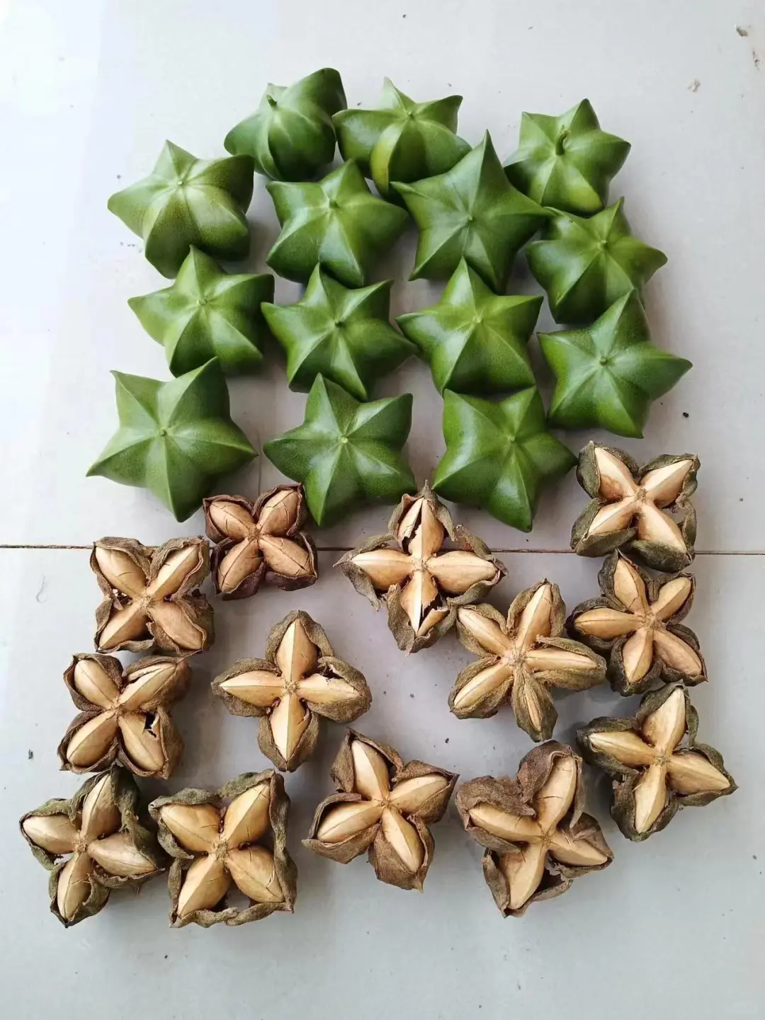 天然健康的营养来源的美藤果!