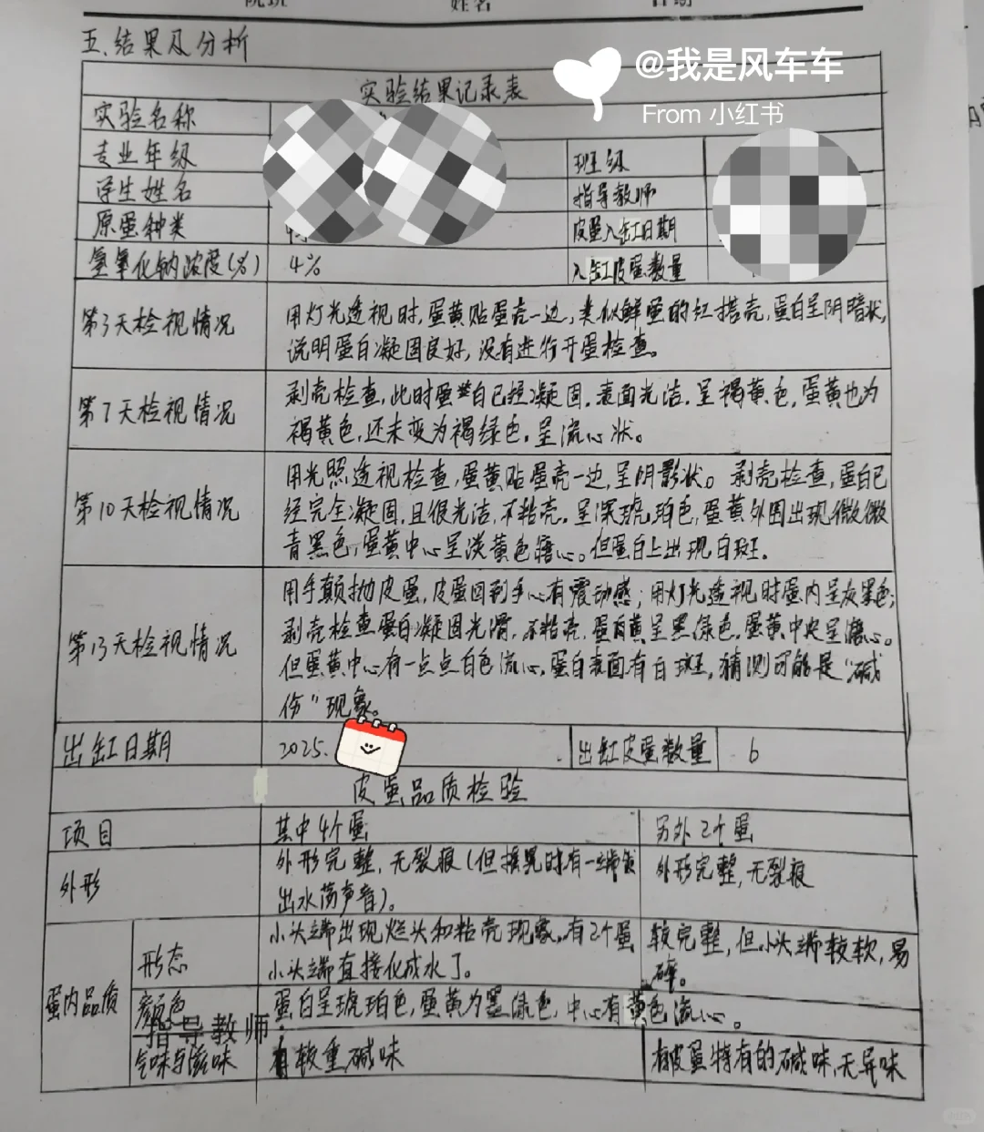 重生之我在学校制作皮蛋