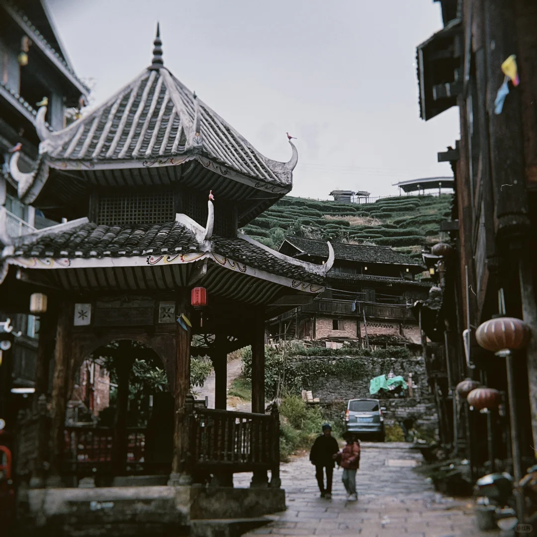 柳州|周末特种兵 吃了洗了逛了溜了?