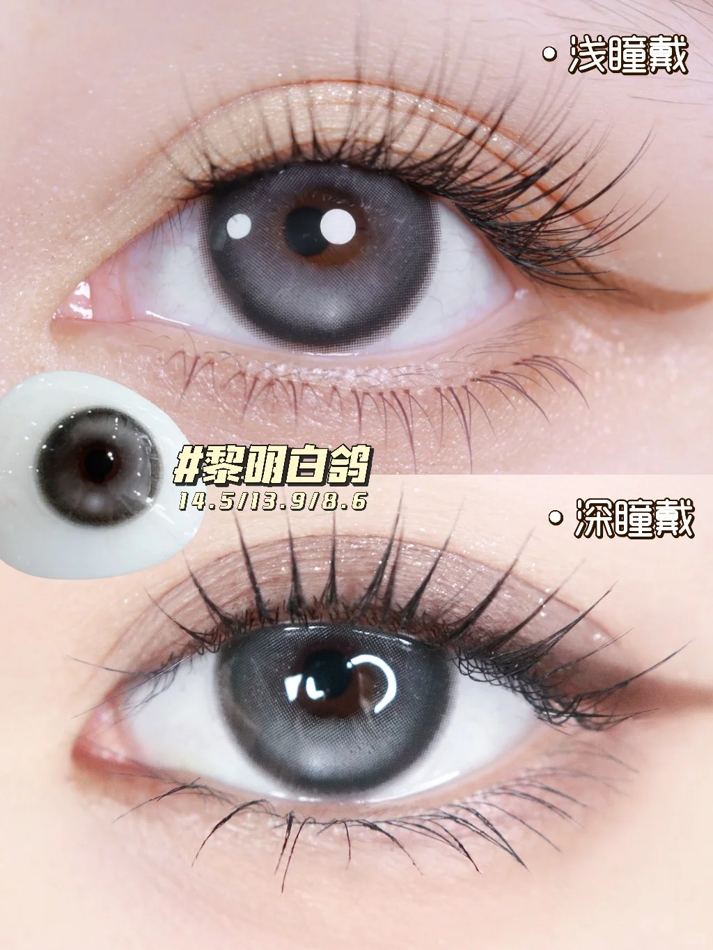 别催啦！断货王「黎明白鸽」库存现货已上架！