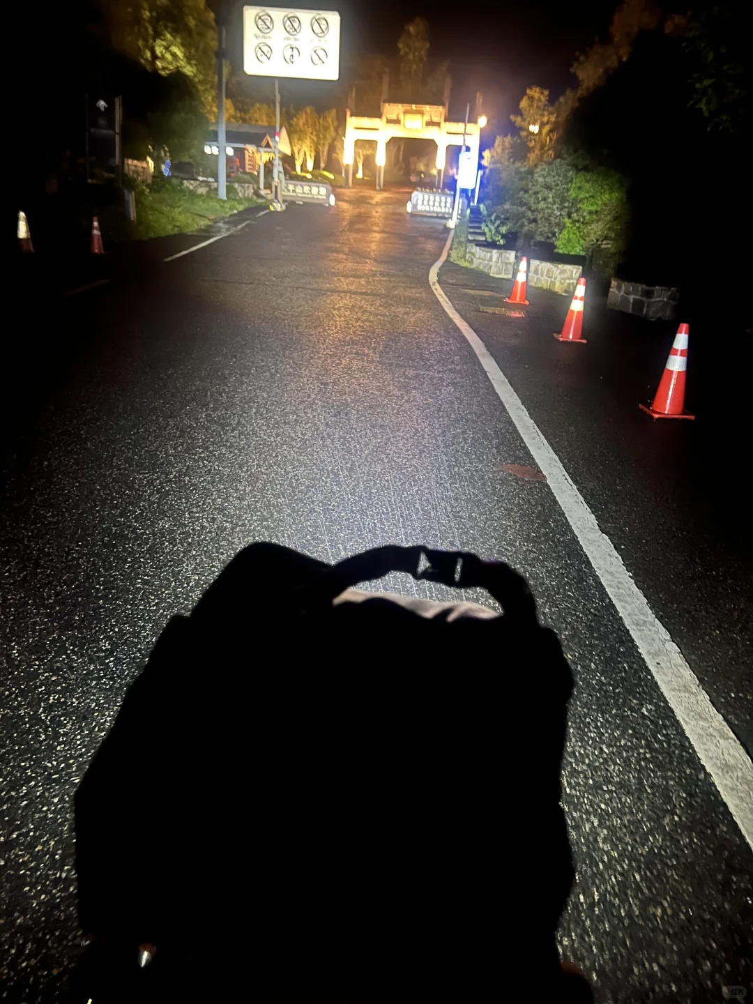 让我看看你们幼兽都改装了啥