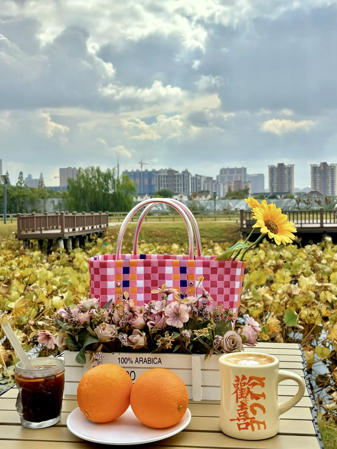 稻海漫过窗棂时,刚好接住了嘉定向阳的秋