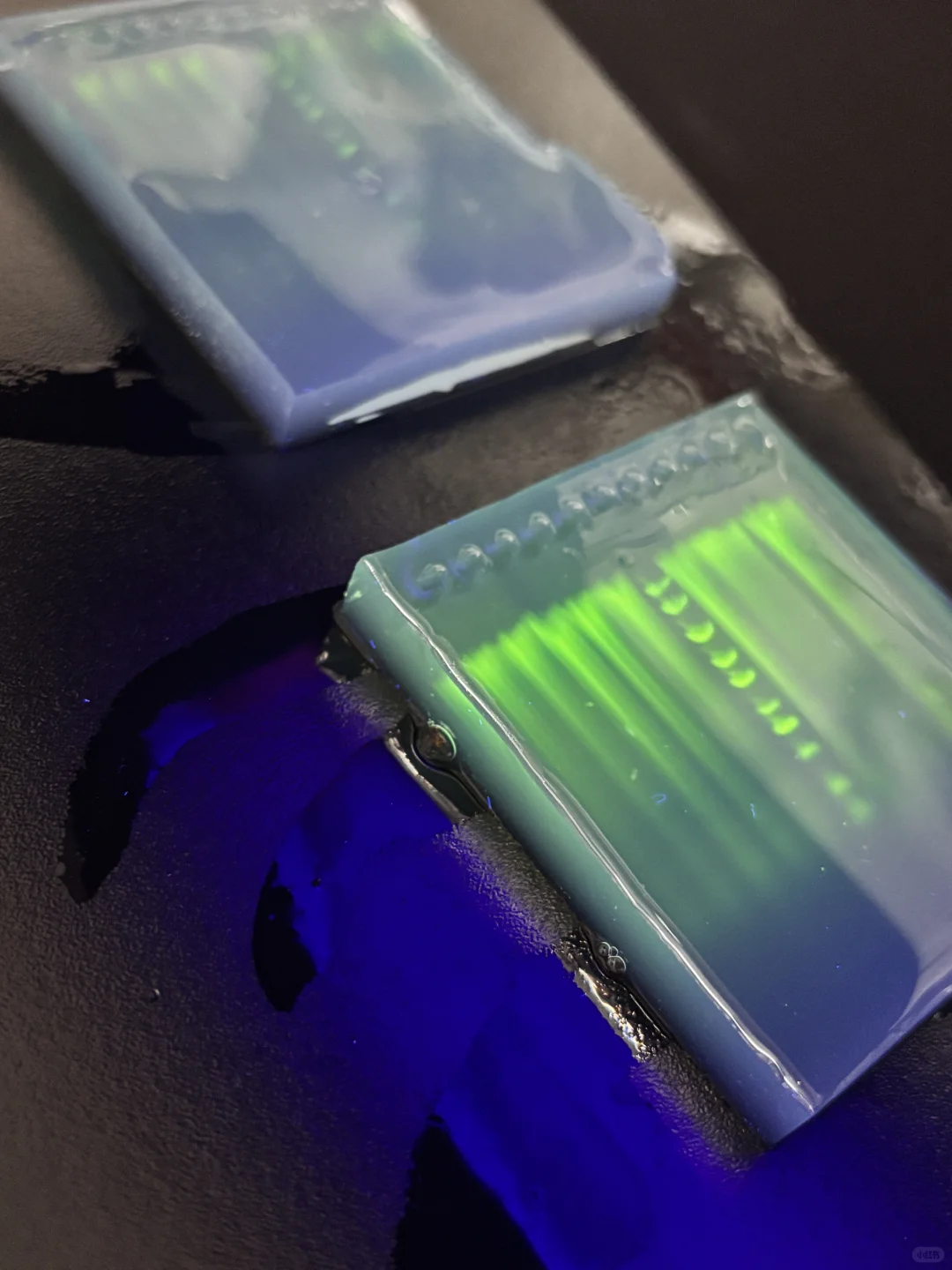 ?中山电科大 食安实验课