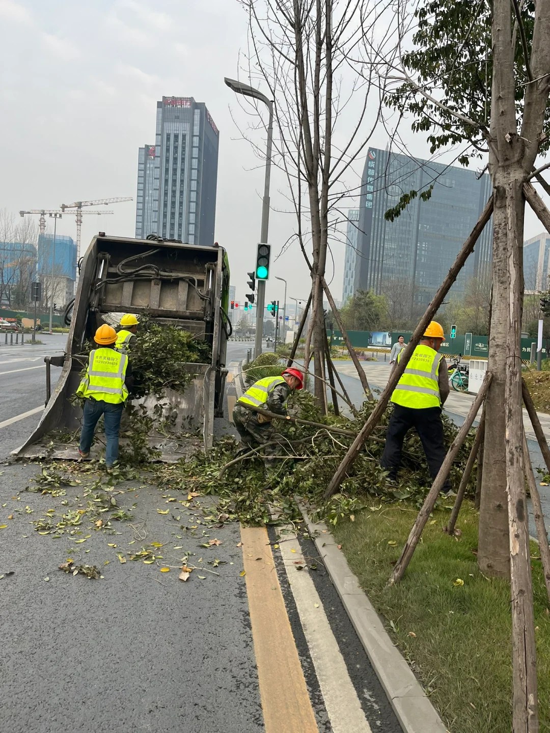 绿化带修剪废弃树枝清理 压缩装车