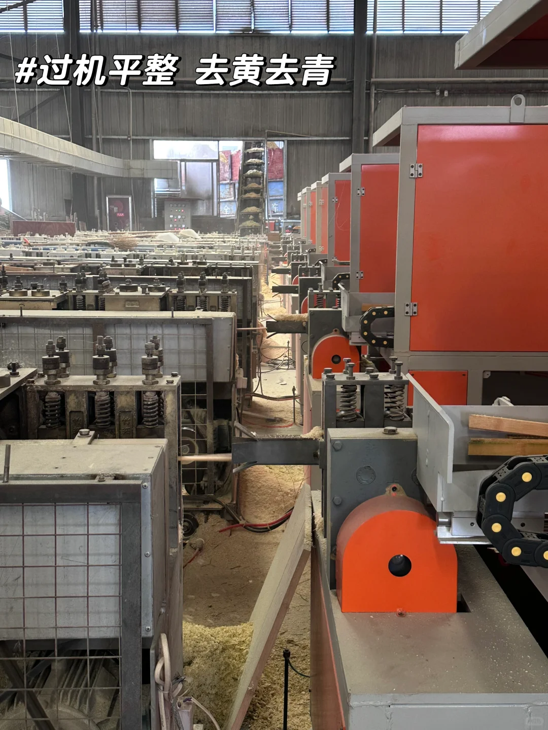 竹子的前世今生