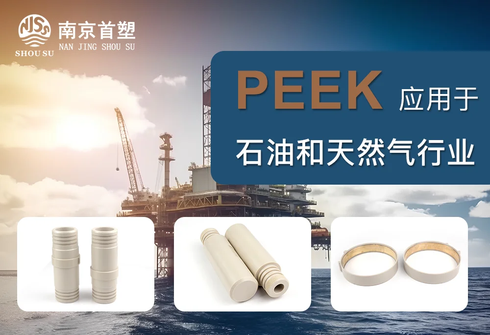聚醚醚酮（PEEK）应用于石油和天然气行业