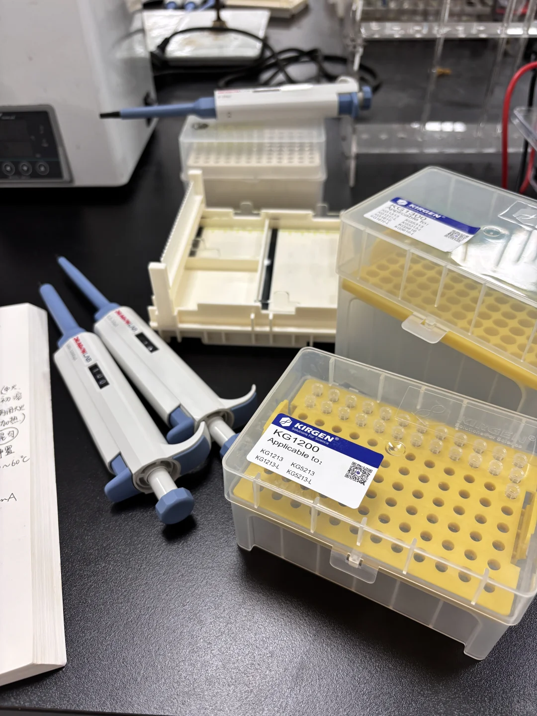 ?中山电科大 食安实验课