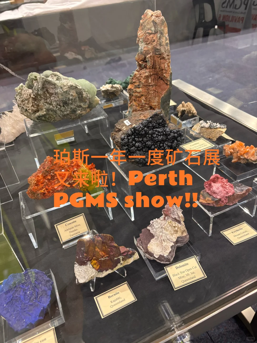 11月7号到9号，珀斯的水晶矿物宝石展又来了～