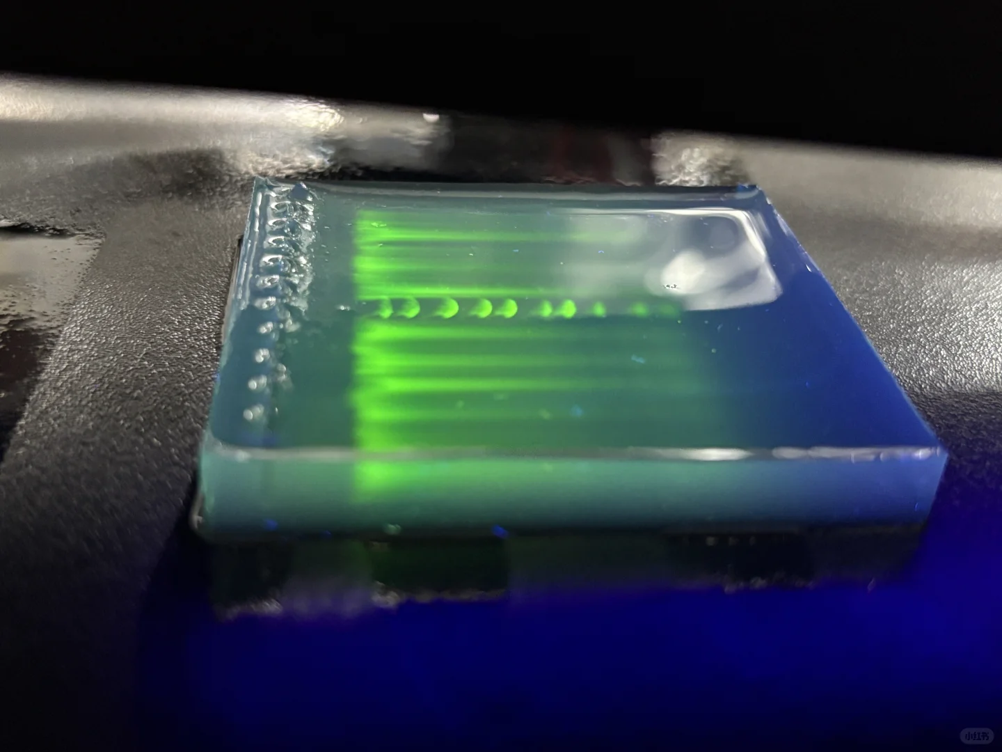 ?中山电科大 食安实验课