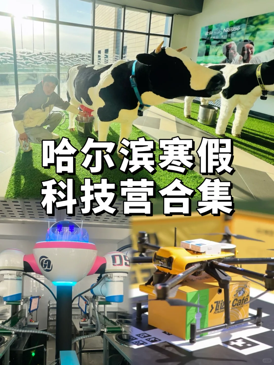 哈尔滨遛娃｜拥有一场科学梦❓看这一篇就够了