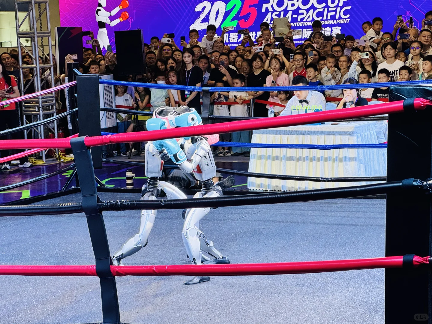 带孩子趣游智博会!这份亲子逛展攻略请收好