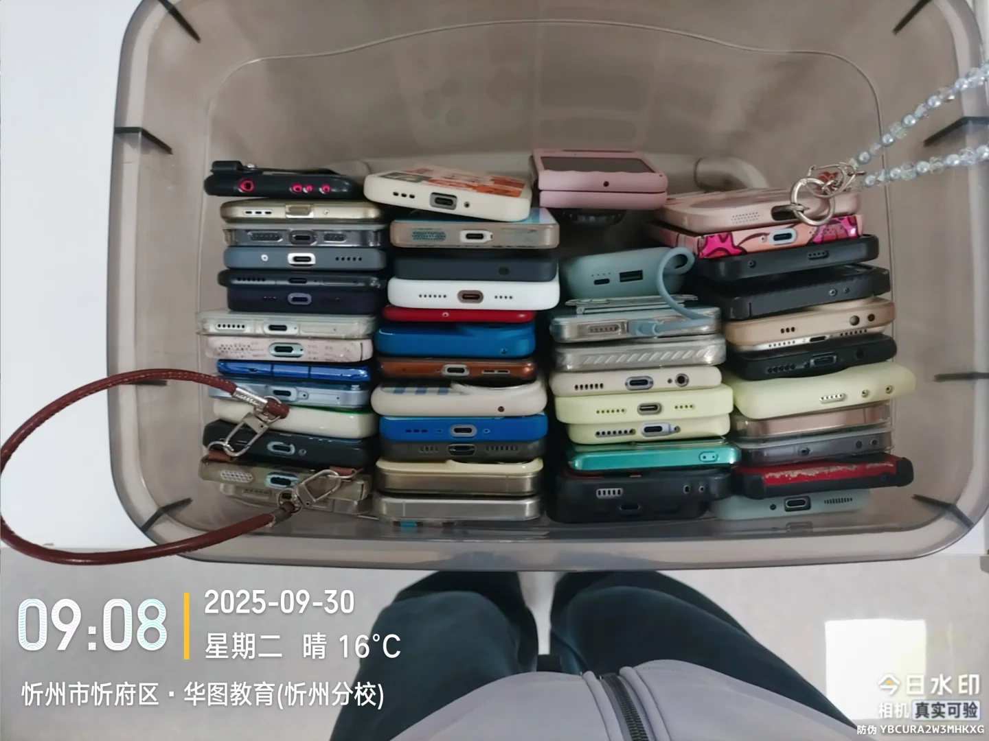 今天又收获了一堆手机?