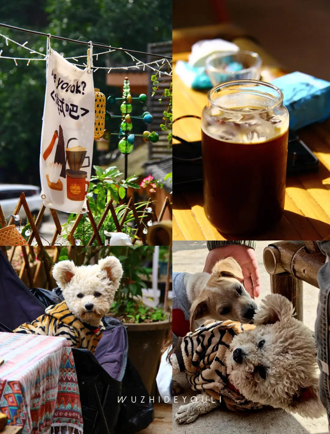 茶香漫古道时，体味那柯里戴家巷的古今对话