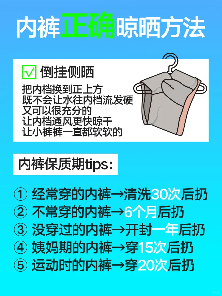 小课堂 | 为什么晒干的苦茶子总是硬梆梆的
