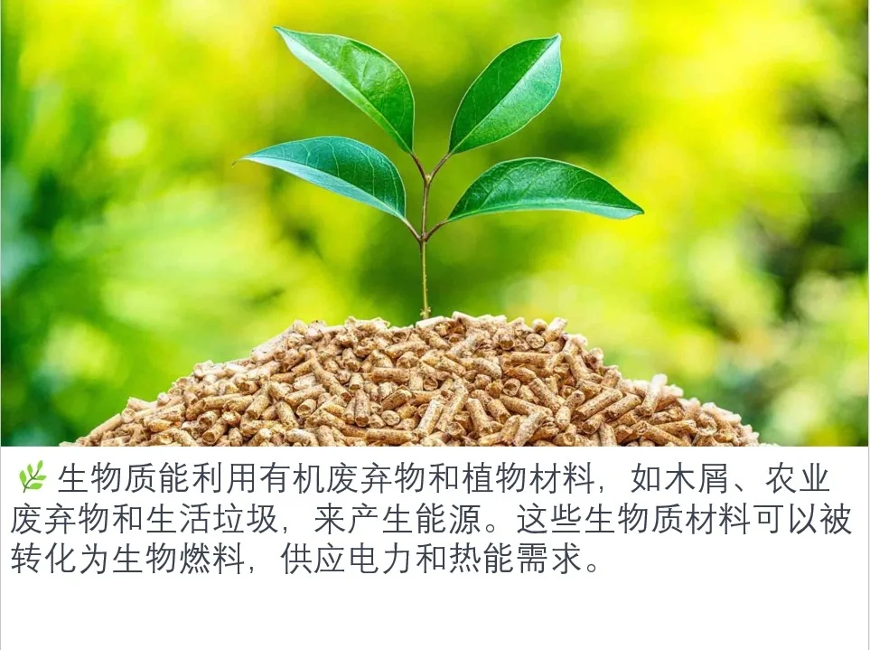 ??5大再生能源有哪些⚡???