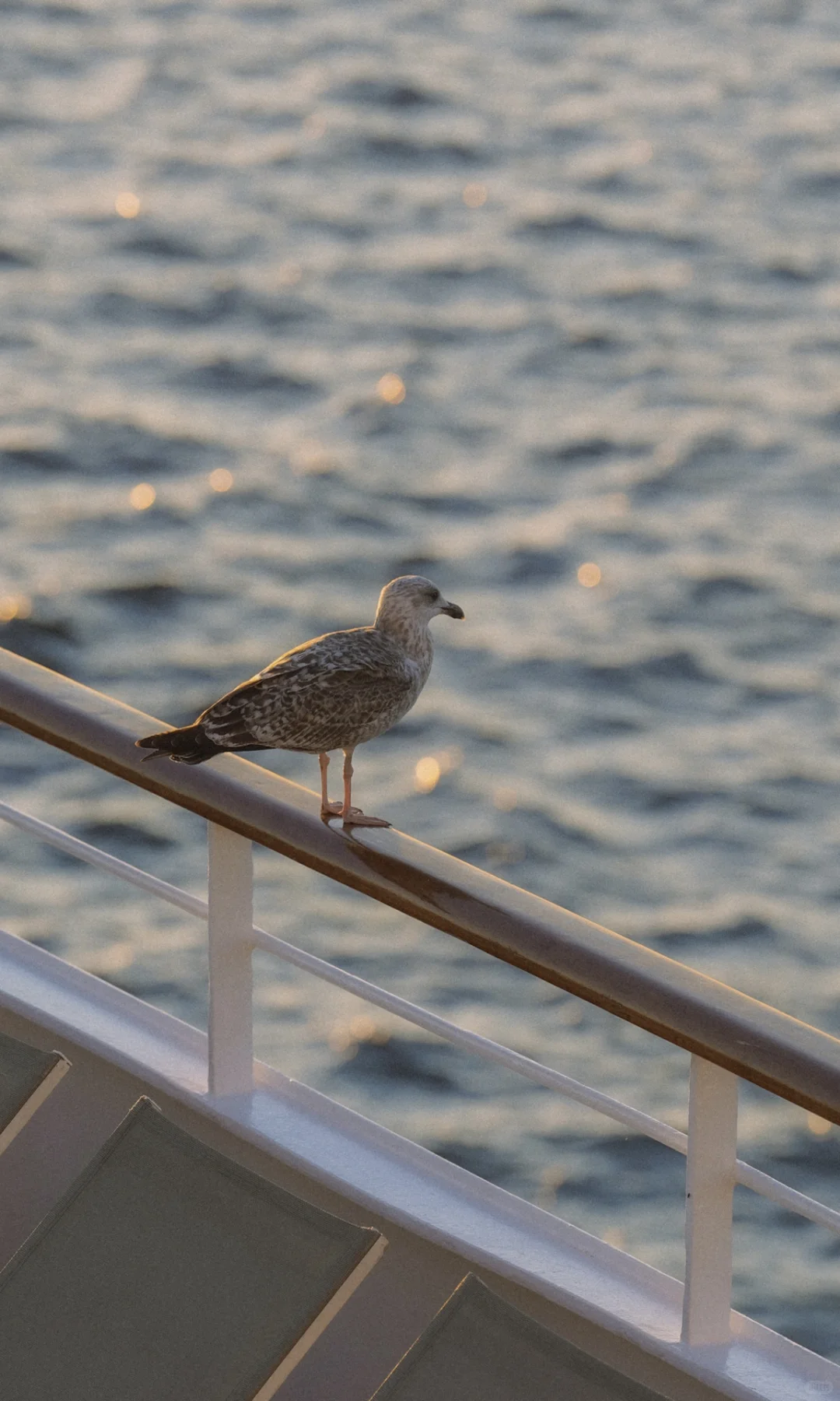 海上漂浮的时间