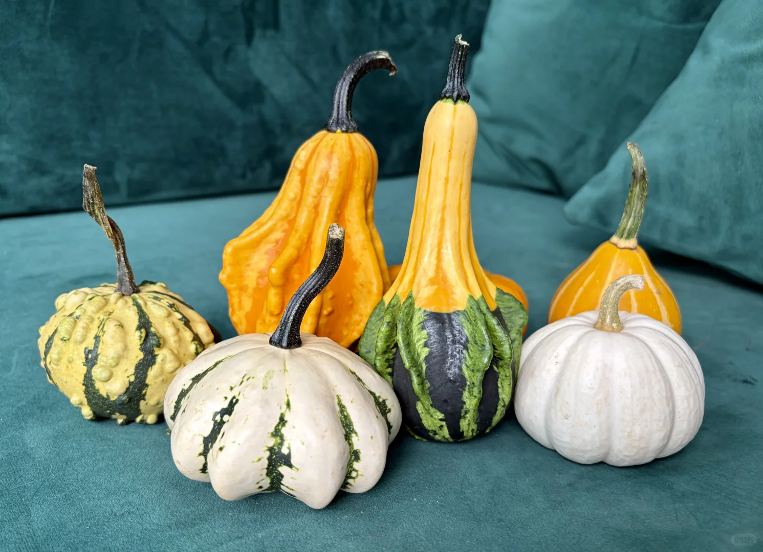 没有人能空手离开无锡热植展?