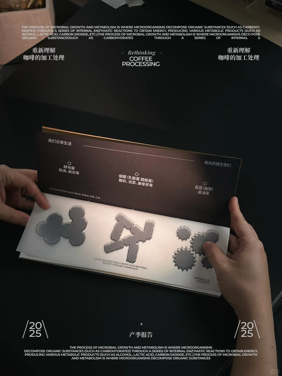 左滑看成品！把咖啡论文做成手帐 产季报告