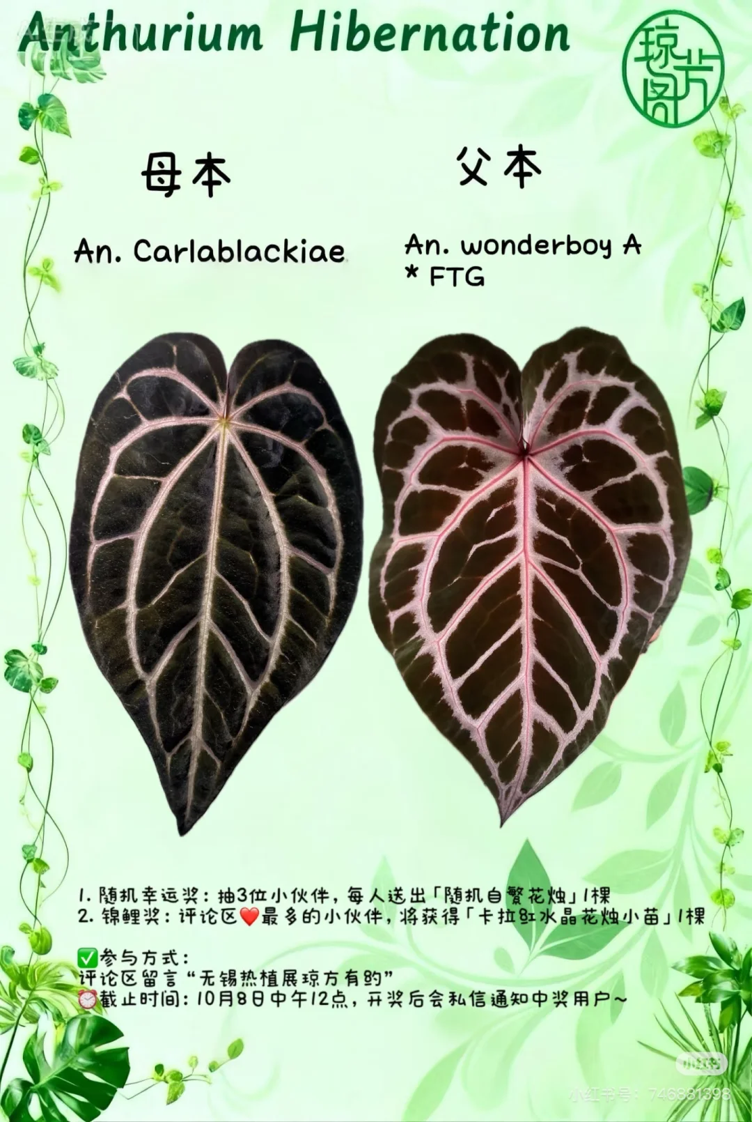 无锡热植展羊毛合集‼️‼️