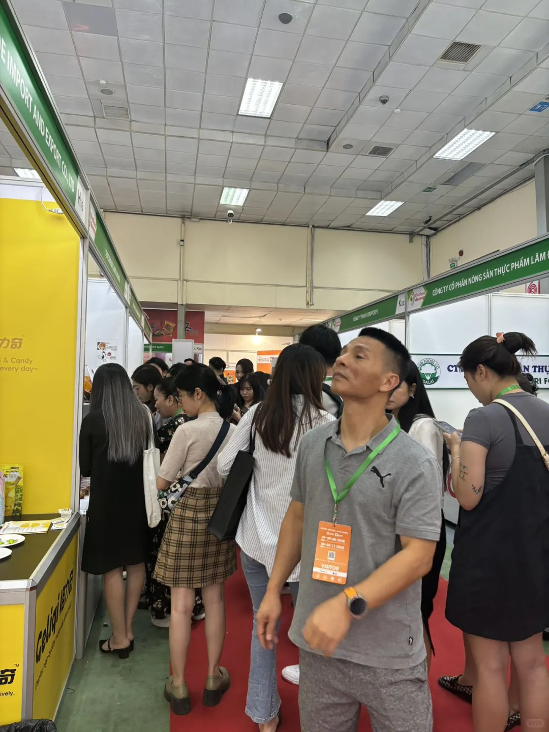 11月份越南河内食品展